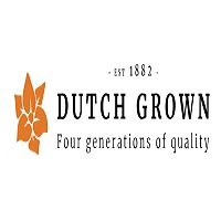 Dutch Grown